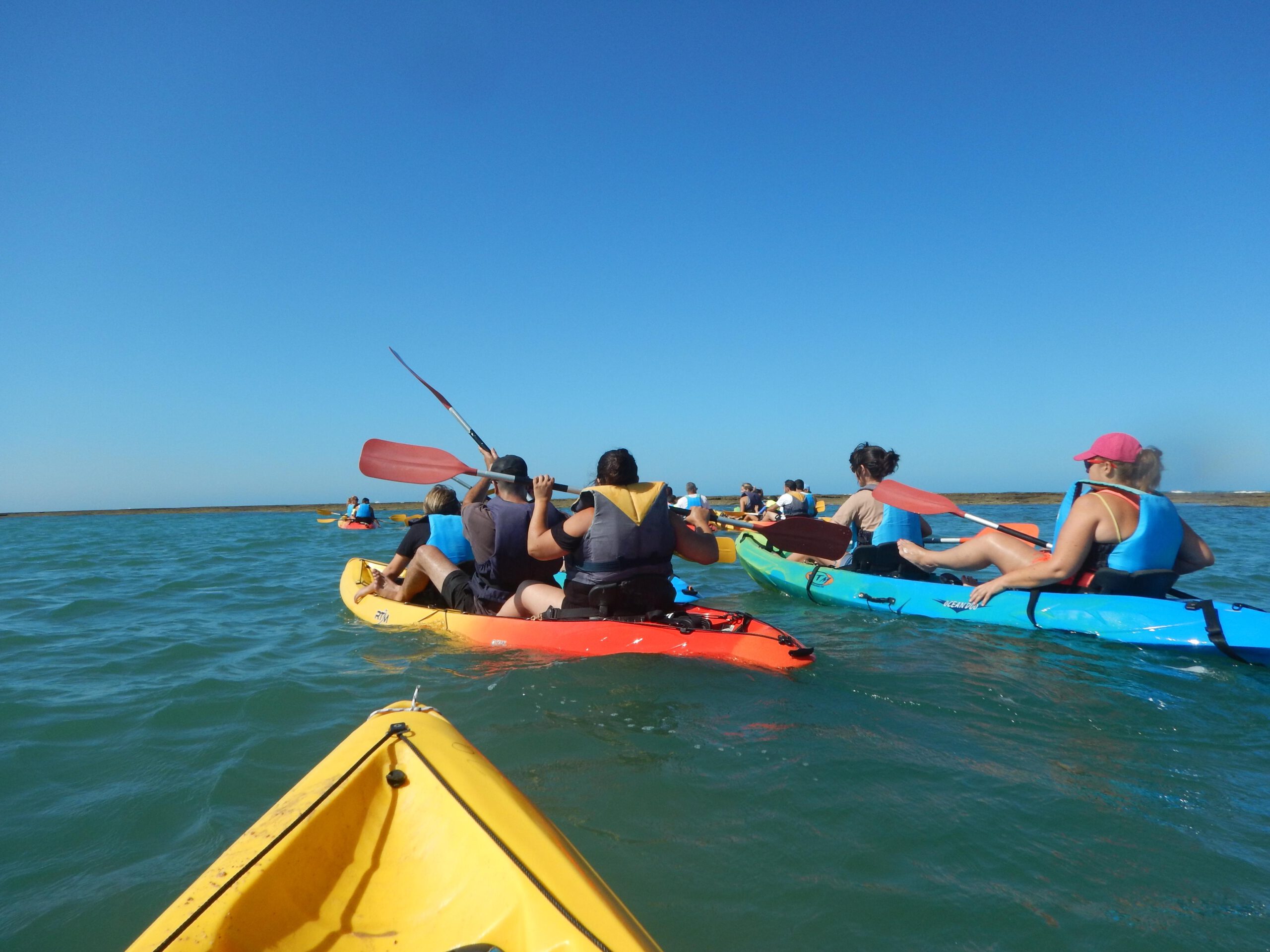 rutas en kayak chiclana11
